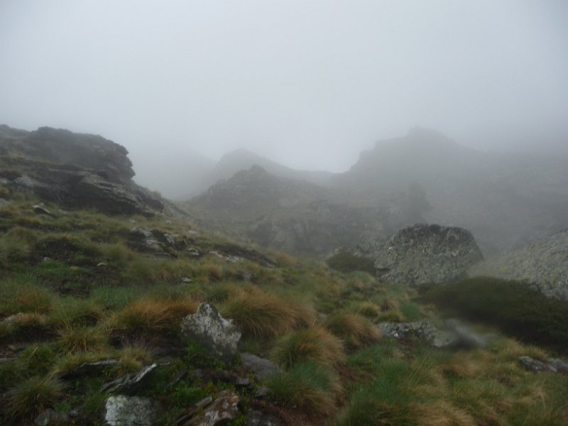 Dans le brouillard